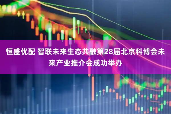 恒盛优配 智联未来生态共融第28届北京科博会未来产业推介会成功举办