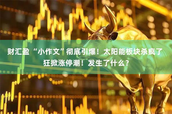 财汇盈 “小作文”彻底引爆！太阳能板块杀疯了 狂掀涨停潮！发生了什么？