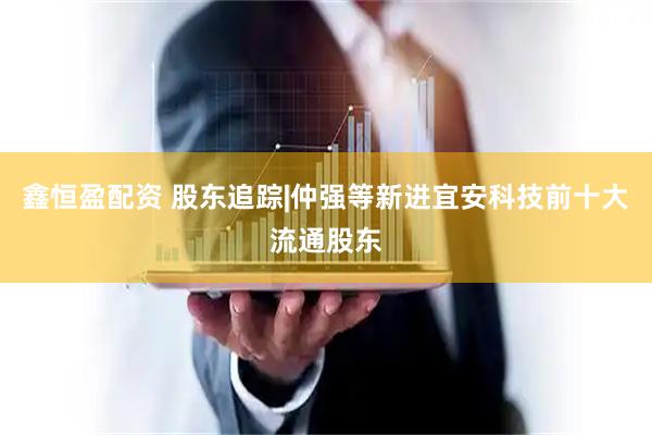鑫恒盈配资 股东追踪|仲强等新进宜安科技前十大流通股东