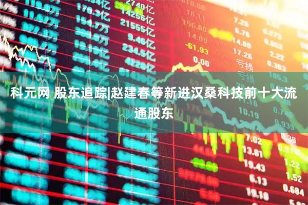科元网 股东追踪|赵建春等新进汉桑科技前十大流通股东